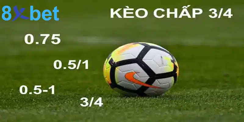 Cược bóng đá - Thể loại cá cược phổ biến nhất trên thế giới Kèo bóng đá chấp 0.75