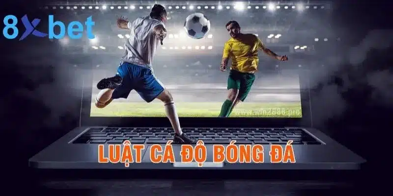 Tìm Hiểu Tất Tần Tật Luật Cá Độ Bóng Đá Tại Việt Nam Giới thiệu chi tiết luật cá độ bóng đá Việt Nam