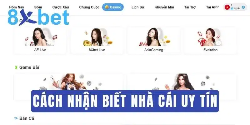 Nhà cái là gì? Thông tin chi tiết về giải trí trực tuyến Dấu hiệu nhận biết uy tín, chất lượng của nhà cái là gì